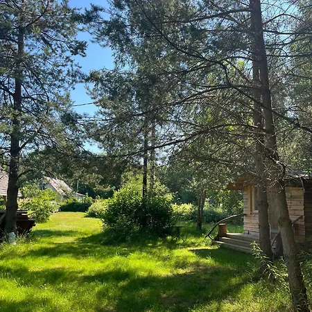 Moori Metsaonn- Forest Hut Kemp