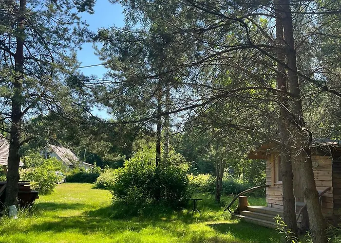 Moori Metsaonn- Forest Hut Laagriplats